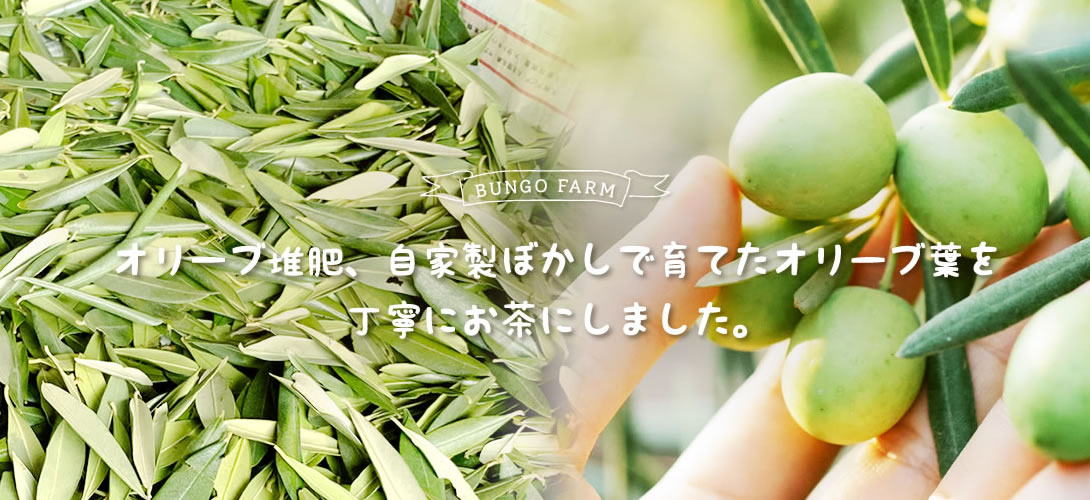 オリーブ堆肥、自家製ぼかしで育てたオリーブ葉を丁寧にお茶にしました。